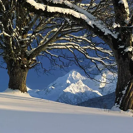 By Schladmingurlaub Ramsau am Dachstein